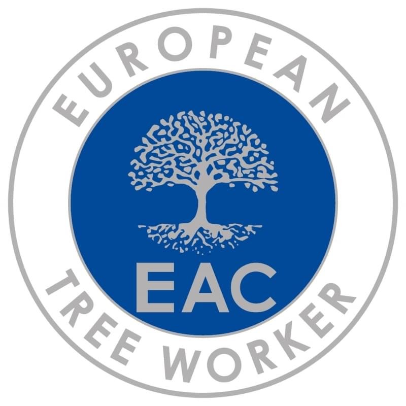 European tree worker in Wolfsburg