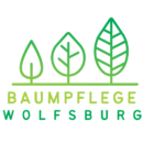 Baumpflege Kiel